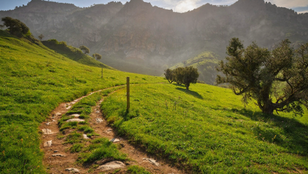 Camminare per la Salute: I Sentieri più Suggestivi della Calabria sprintcalabria.it